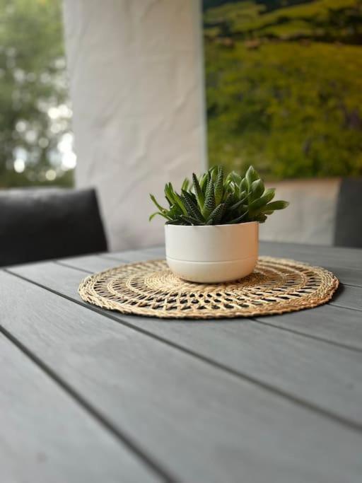Ferienappartement Schwarzwaldeck In Todtnauberg Kültér fotó