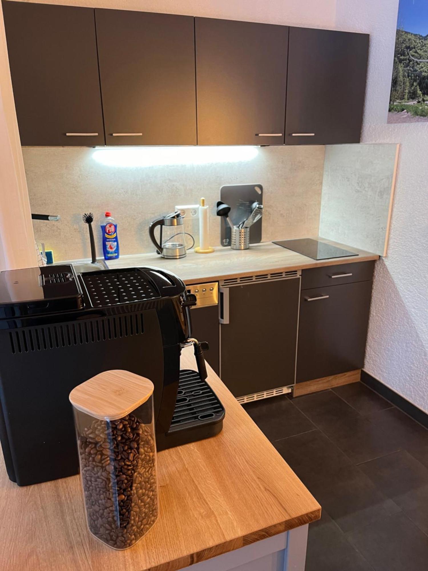Ferienappartement Schwarzwaldeck In Todtnauberg Kültér fotó