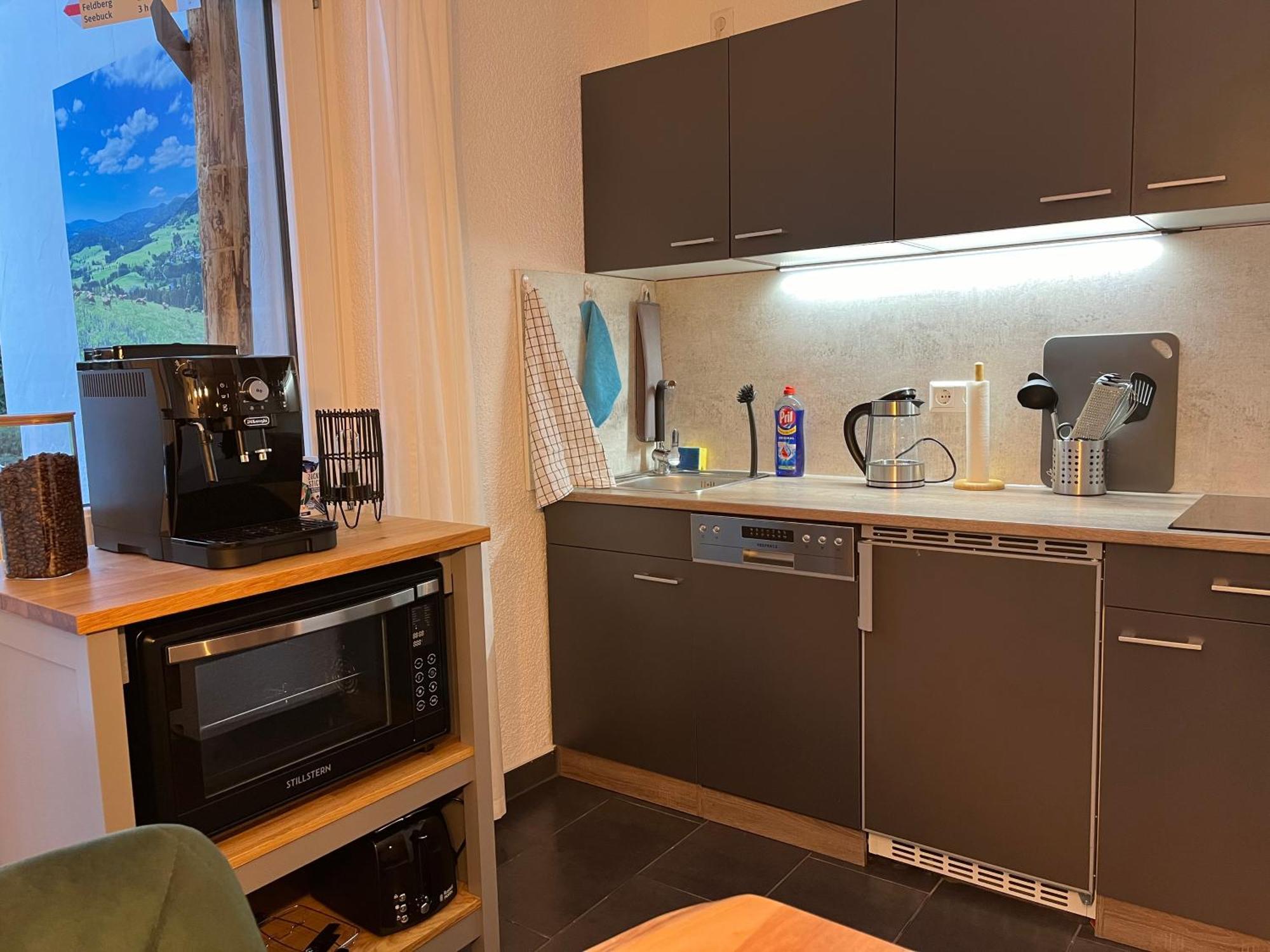 Ferienappartement Schwarzwaldeck In Todtnauberg Kültér fotó